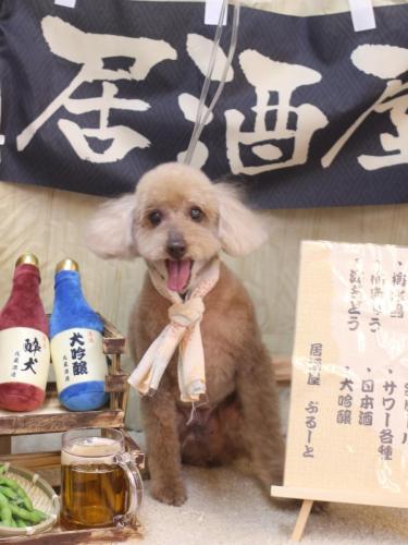 20240630こたろうくん